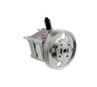 NTY Pompa idraulica, Sterzo compatibile con VOLVO SPW-FR-005