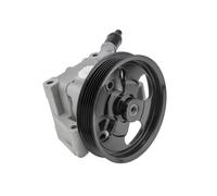 NTY SPW-JG-007 Pompa idraulica, sterzo