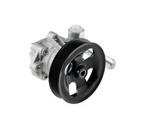 Pompa Del Servosterzo, Idraulica per Lenku Adatto A Jeep Wrangler 3.6 12-15 OE V