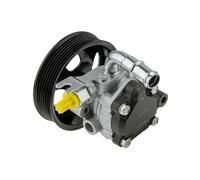 NTY SPW-KA-003 Pompa idraulica, sterzo