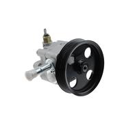 NTY SPW-MS-008 Pompa idraulica, sterzo