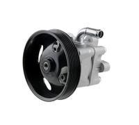 NTY Pompa idraulica, Sterzo compatibile con SPW-NS-008