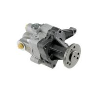 Servopumpe Servosterzo BMW X5 4.4I, 4.6IS 00-03 Nuovo