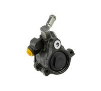 NTY SPW-CH-011 Pompa idraulica, sterzo