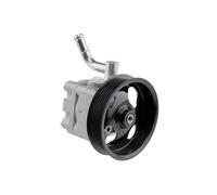 NTY SPW-NS-010 Pompa idraulica, sterzo