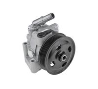 NTY SPW-JG-006 Pompa idraulica, sterzo