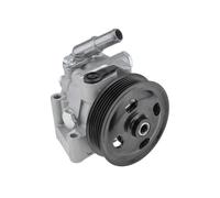 NTY SPW-JG-006 Pompa idraulica, sterzo