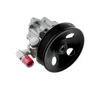 Pompa servosterzo idraulico con puleggia multipla SPW-ME-014 NTY