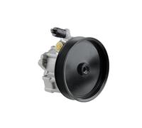 NTY Pompa servosterzo idraulica SPW-ME-022 senza puleggia multipla per Mercedes Sprinter