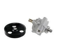 Pompa servosterzo idraulico con puleggia multipla SPW-RE-001 NTY per DACIA