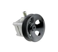 Pompa servosterzo idraulico con puleggia multipla SPW-VV-002 NTY per VOLVO S80 I