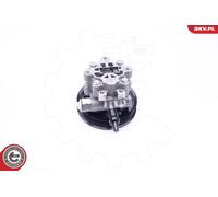 Pompa servosterzo idraulico con puleggia 10SKV265 ESEN SKV per LAND ROVER