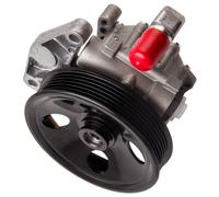 Pompa del Servosterzo for Mercedes C W203 R W251 M W164 GL X164 A0044667801