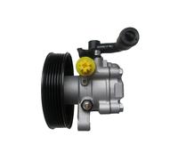 Pompa Del Servosterzo Servo Sterzo per WRC 4900018 Kia Sorento ( Jc ) 3.3 V6