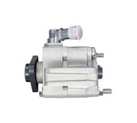 Pompa Del Servosterzo Servo Sterzo WRC 4901295 BMW 1 (E81) 3 (E90) Coupe (E92)