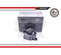 Pompa Del Vuoto SKV Per AUDI A3 TT VW New Beetle Jetta III Golf VI