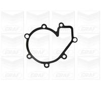 Pompa Dell’acqua Raffreddamento Motore Graf PA1150 per Ssangyong