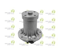 Pompa Dell’acqua Raffreddamento Motore 7 Seven Parts SV10105P per Mercedes Benz