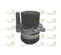 Pompa Dell’acqua Raffreddamento Motore 7 Seven Parts SV101355P per Audi Seat VW