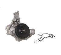 Pompa dell’acqua, raffreddamento motore CONTITECH WPS3229