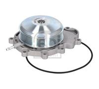 Pompa Dell’acqua Raffreddamento Motore Febi Bilstein 103075 per Mercedes Benz