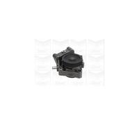 Pompa acqua meccanico PA1026 GRAF per FIAT PEUGEOT CITROËN IVECO