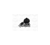GRAF POMPE PA1053 Pompa Acqua Bmw-Range Rover *Ex 760*,