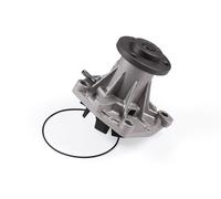 Pompa dell’acqua, raffreddamento motore HEPU P1081