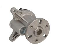 Pompa dell’acqua, raffreddamento motore INA 538 0501 10 per C6 (TD_) 3 2009-