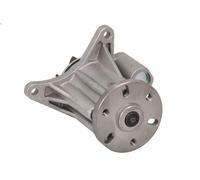 Pompa dell’acqua, raffreddamento motore INA 538 0649 10 per XJ 2.7 2005-2009