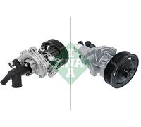 Pompa acqua 538 0981 10 INA per FORD LAND ROVER
