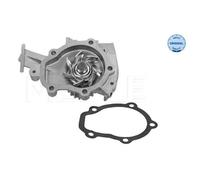 Pompa Dell’acqua Raffreddamento Motore Meyle 29132200000 per Chevrolet Daewoo