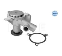 Pompa Dell’acqua Raffreddamento Motore Meyle 3130112500 per Bmw