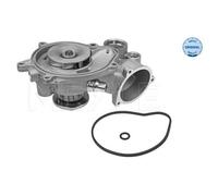 Meyle Pompa dell'acqua 313 220 0014 Raffreddamento motore per BMW