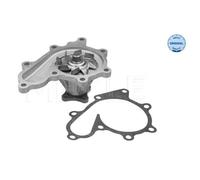 Meyle Pompa Acqua Ni Almera - X Trail 2,2 Dci 36-132200007