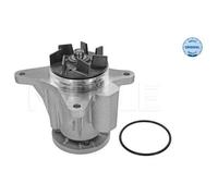 Pompa Dell’acqua Raffreddamento Motore Meyle 53132200008 per Jaguar Land Rover