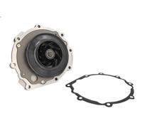 Pompa dell’acqua, raffreddamento motore OMP 343.440 per NG 10.518 2006-2009