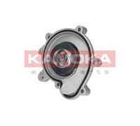 Pompa dell’acqua, raffreddamento motore per ACURA AUDI CHEVROLET CITROËN DAEWOO