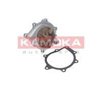 Pompa dell’acqua, raffreddamento motore per AMC BMW CHEVROLET CITROËN DS FIAT FO