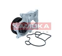 Pompa dell’acqua, raffreddamento motore per BMW 1 2 3 4 5 X1 X3 X5