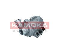 Pompa dell’acqua, raffreddamento motore per BMW 1 3 5 6 7 X1 X3 X5 Z4