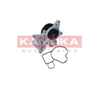 Pompa dell’acqua, raffreddamento motore per BMW 5 7 X5 X6