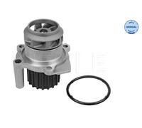 Pompa dell’acqua, raffreddamento motore per SEAT SKODA VW CORDOBA FABIA IBIZA PO