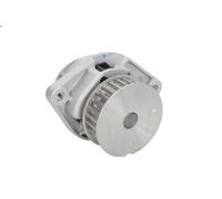 Pompa dell’acqua, raffreddamento motore THERMOTEC D1W019TT per POLO 1.4 1999-