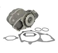 Pompa dell’acqua, raffreddamento motore THERMOTEC WP-ME123 per NG 9.57 1973-