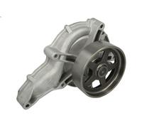 Pompa dell’acqua, raffreddamento motore THERMOTEC WP-VL117 per FM9 9.364 2001-