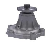 Pompa dell'acqua 1307020E00 compatibile con vari modelli di pick-up tra cui JINBEI BADAO DALISHEN HAISE JINDIAN RUILING GREAT WALL DEER FENGJUN SAFE SOCOOL