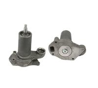 Pompa Dell'Acqua 20906603 Inclusa Guarnizione Per Steyr 30 PLUS, T 188