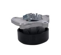 Pompa dell'acqua adatta for NIS TEA L33 L34 ALT 2.0L X-TR T32 QAS J11 SYL B17 REN KOL Accessori motore 210101KC0A