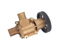 Pompa Dell'acqua Ausiliaria Pompa Acqua Mare Grezza 21380890 Per Volvo Per Penta Serie D6 Per Motore Marino 3589907 Sostituisce Per Jabsco 50394-8300 50394-8100